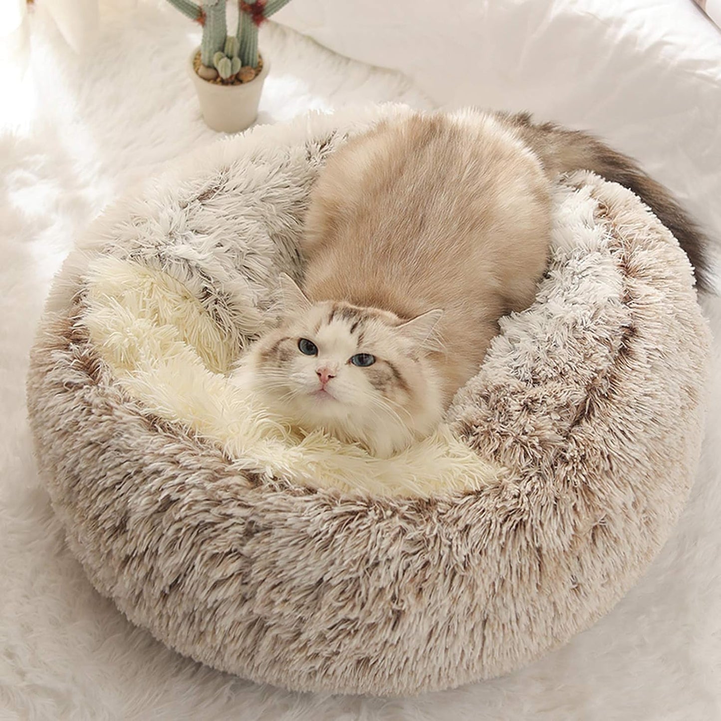 CozyCove™ Premium Pet Bed